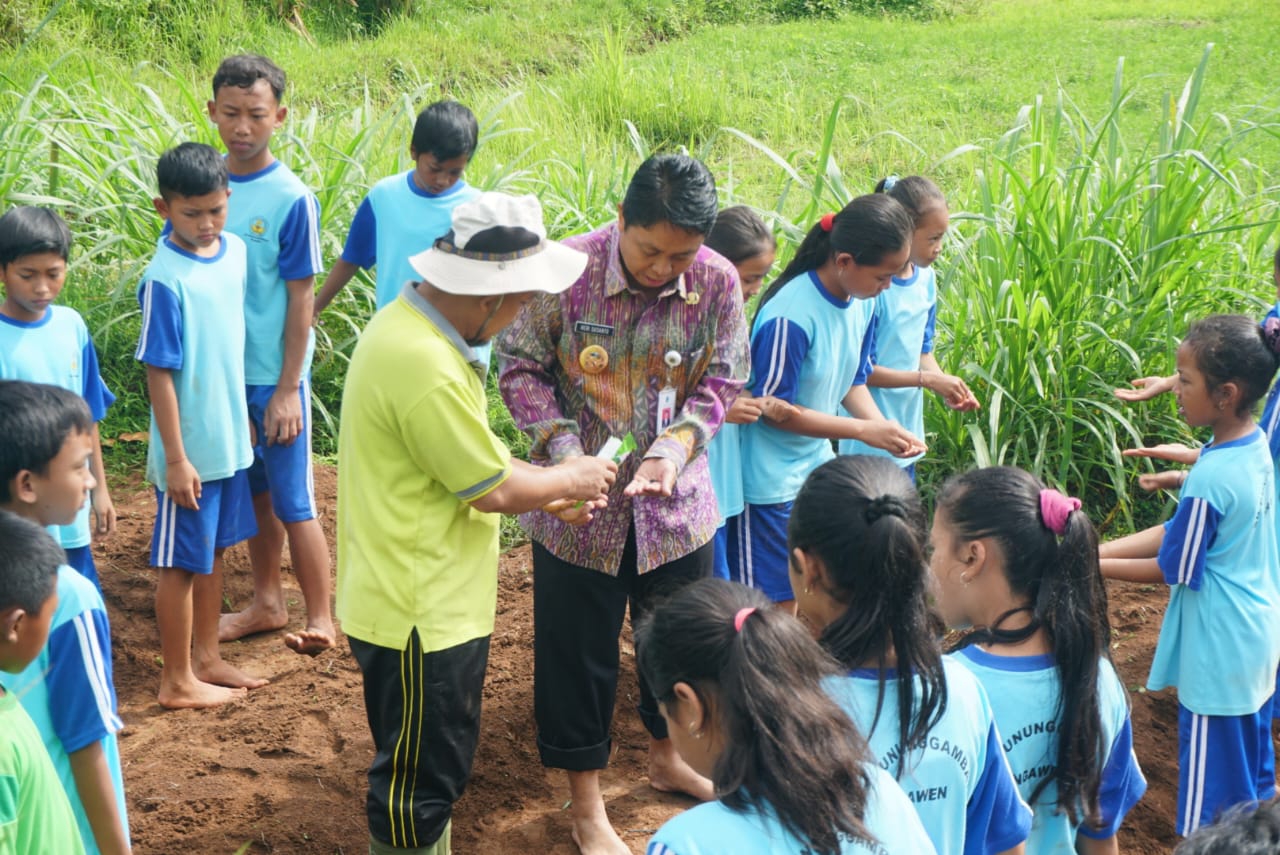 Siswa-siswi di Gunungkidul Diajari Menanam Benih Kacang Panjang