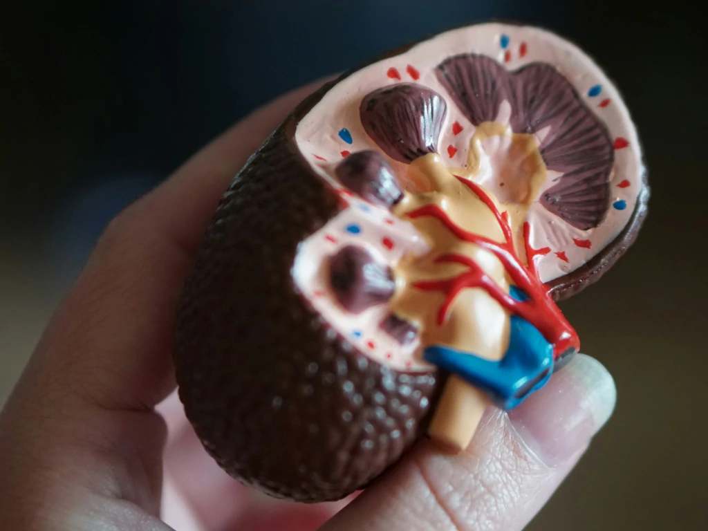 Hati-hati Jangan Mudah Tergiur dengan Operasi Transplantasi Ginjal