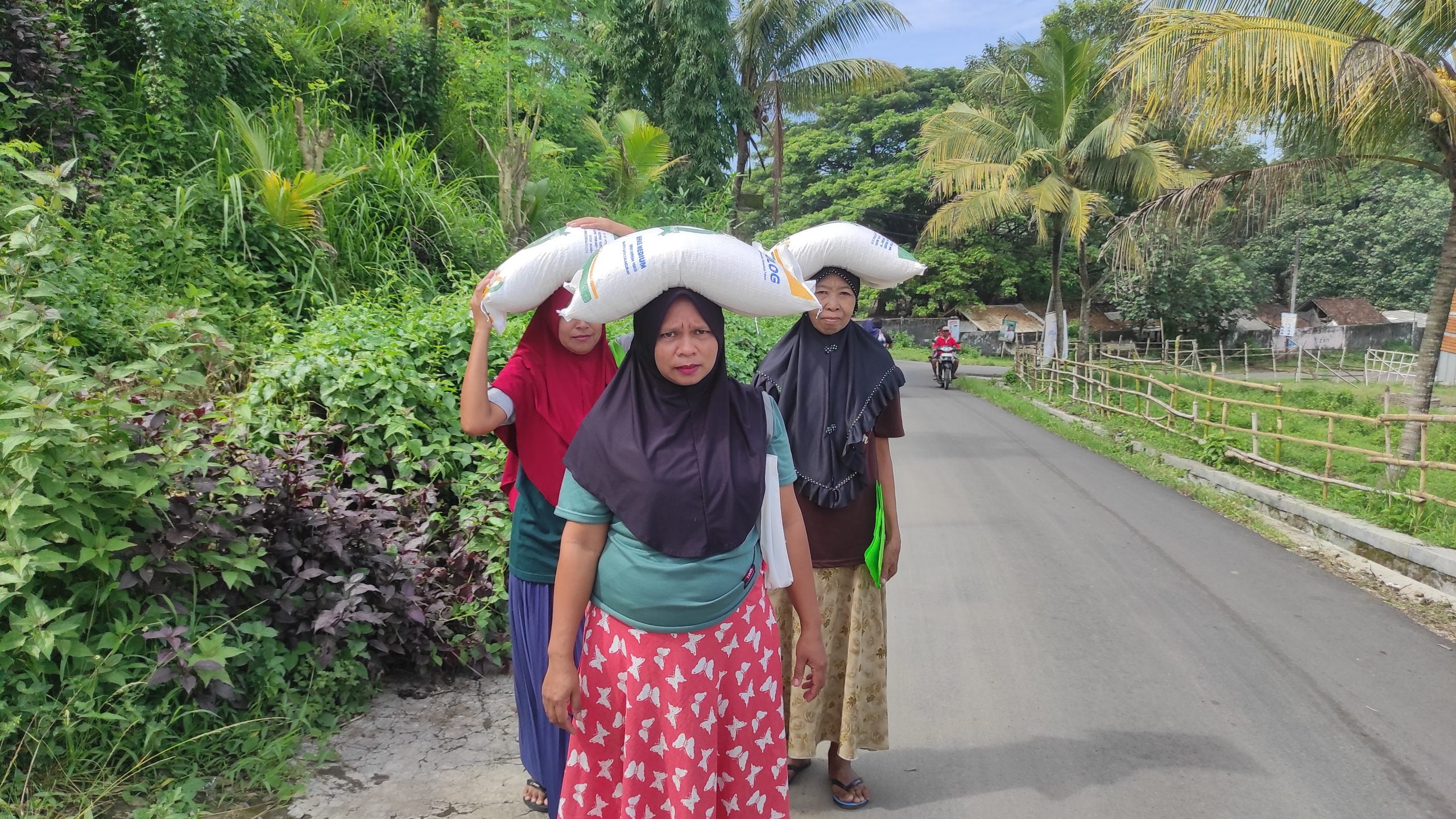 Pemkab Bersama Bulog Jember Distribusikan Beras Cadangan Pemerintah Tahap Pertama Di Awal Tahun 2024 Beras cadangan pemerintah