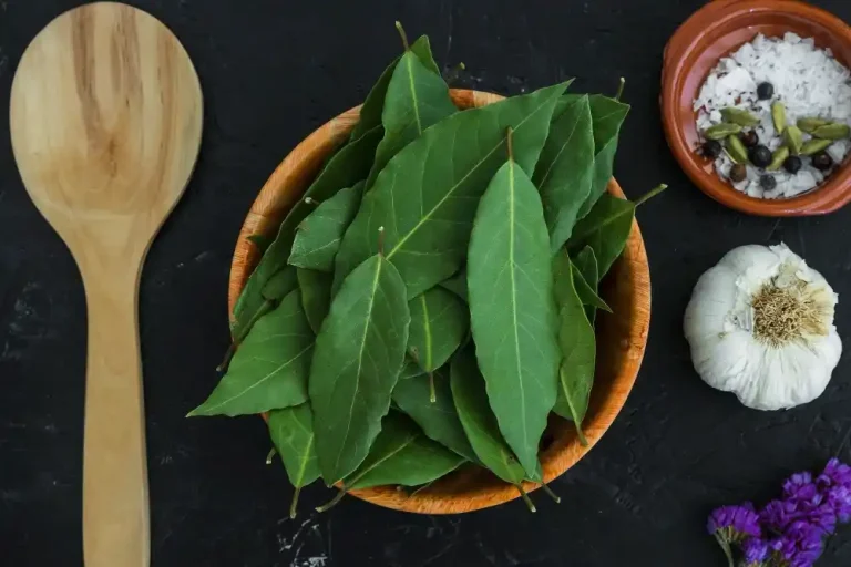 Khasiat dan Cara Mengolah Daun Sirsak untuk Pengobatan Kanker Daun Sirsak untuk Pengobatan Kanker