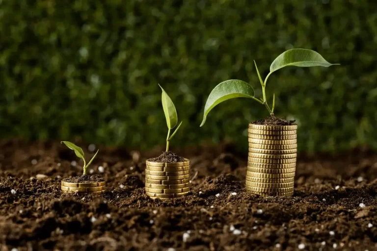 Tips Inventasi Aman untuk Pemula, Jangan Sampai Salah! Tips investasi aman