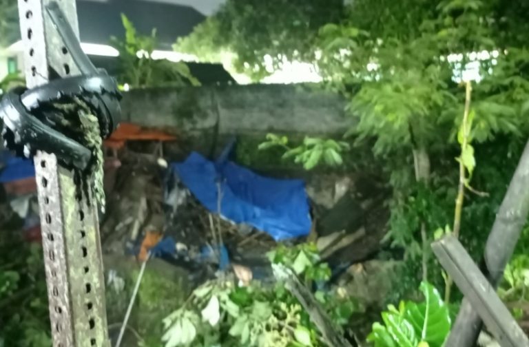 Akibat Hujan Deras Disertai Angin, Tiga Pohon di Kelurahan Bener Tumbang Evakuasi penanganan pohon tumbang di Kelurahan Bener, Jogja, Sabtu (28/12/2024) - (foto: BPBD Kota Jogja)