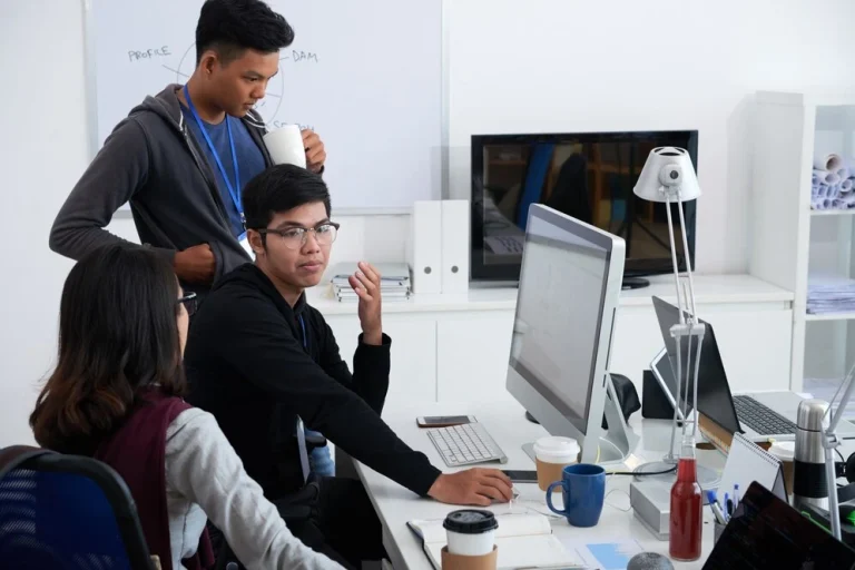 Profesi Software Developer