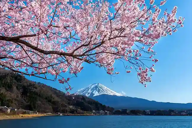 Tinggal di Jepang Serasa Liburan Tiap Hari! Tinggal di Jepang Serasa Liburan