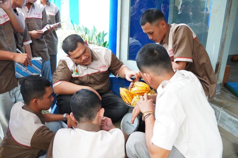 Mahasiswa Instiper Praktik Olah Kakao Hasil Panen