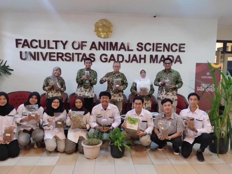 Fapet UGM Hadirkan Pakan Hijauan Produksi dan Bernutrisi Tinggi dengan Harga Terjangkau