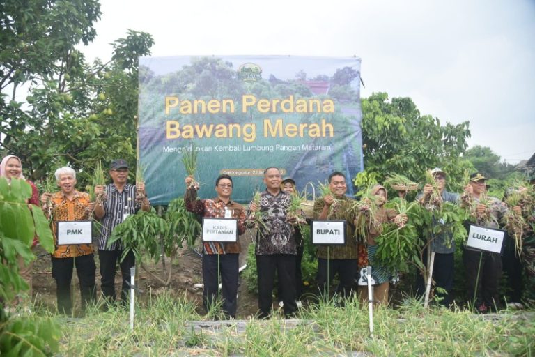 Warga Tiyasan Condongcatur Ubah Tanah Pelungguh Menjadi Lumbung Pangan Warga